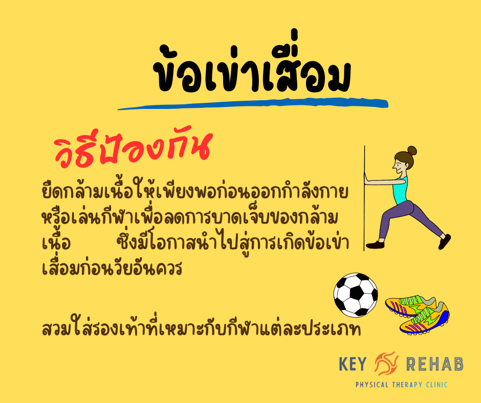ข้อเข่าเสื่อม - osteoarthritis of knee 4